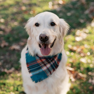 Fundraising Page: Sydney Lake